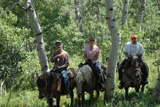 Wilderness cabin ride